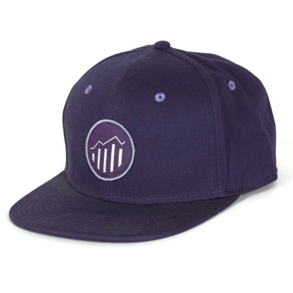 ADOBE SOFTWARE Analytics Computer Tech Company Logo Baseball Hat Cap Photoshop